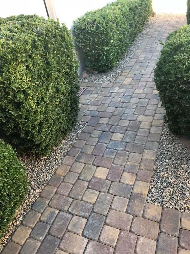 Trusted yard maintenance for outdoor upgrades across Prescott Valley, AZ - Tri-City Earthworks & Labor