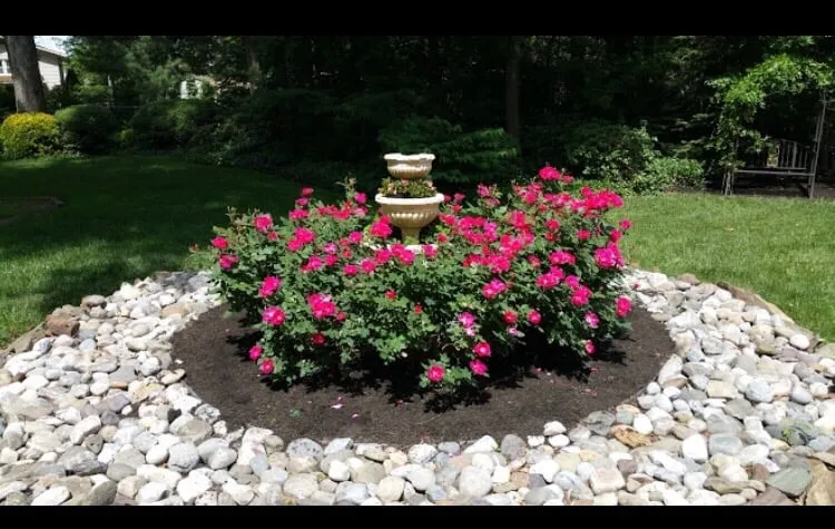 Expert landscape installation for residential properties in Colonial Heights, VA by Tri-City Landscapes