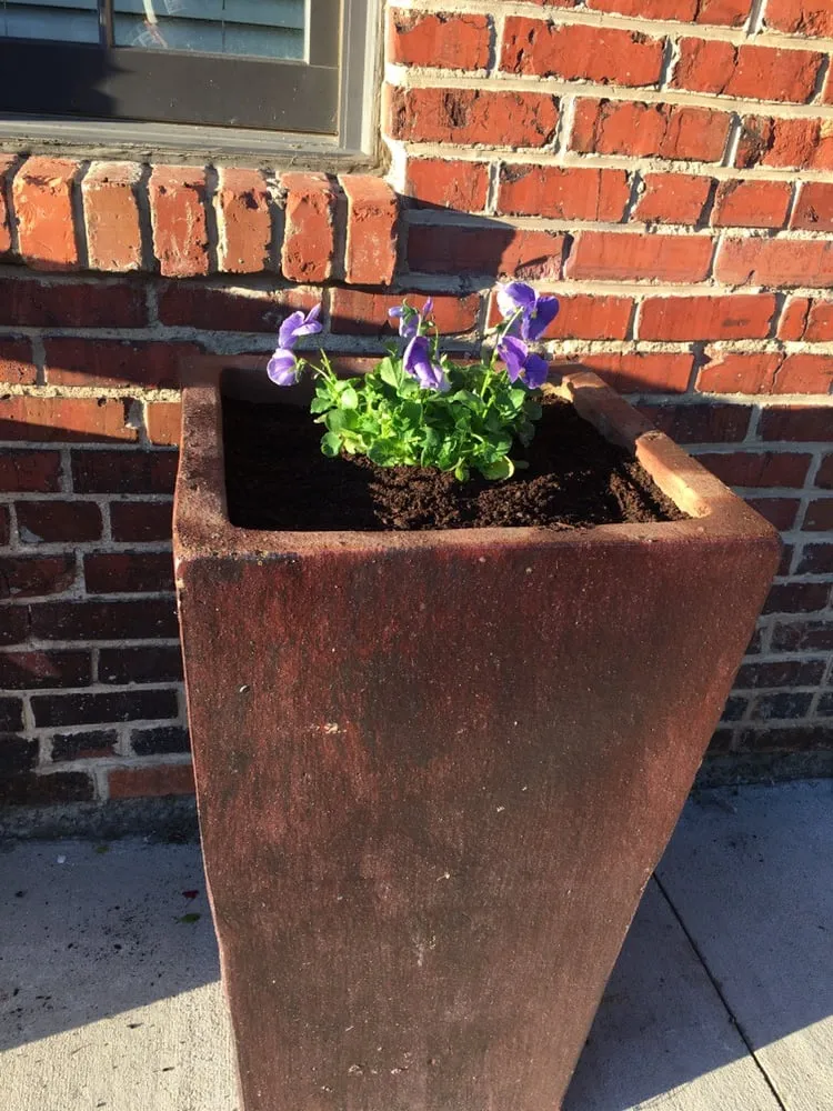 Reliable lawn mowing service in Colonial Heights, VA by Tri-City Landscapes