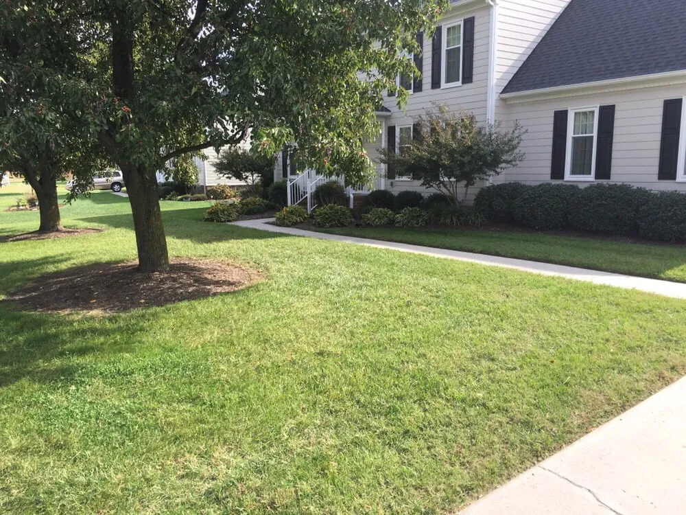 Reliable yard cleanup service in Colonial Heights, VA - Tri-City Landscapes