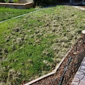Custom landscape installation in Fremont, CA - Tri-City Lawn and Garden Service