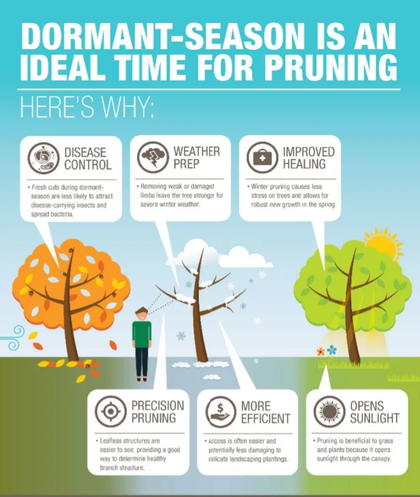 Custom lawn care service experts serving Midland, MI - Tri-City Property Maintenance