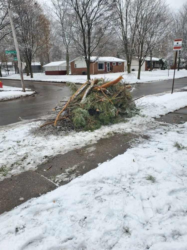 Local yard maintenance in Midland, MI - Tri-City Property Maintenance