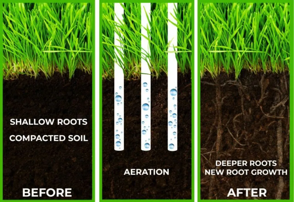 Reliable outdoor landscaping in Midland, MI - Tri-City Property Maintenance