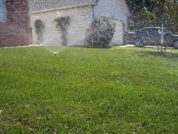 Top-rated lawn mowing service for outdoor upgrades across Loveland, CO - Tri City Sprinklers & Landscaping