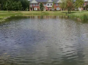 Local residential landscaping for beautiful yards across Washington, MI - Tri-County Aquatics