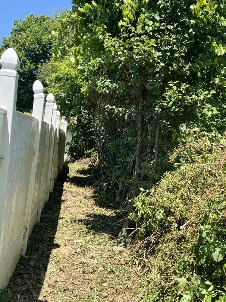 Local yard maintenance for year-round maintenance across Salesville, OH - Tri County Cuts & Clean