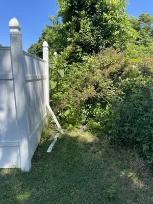 Tri County Cuts & Clean