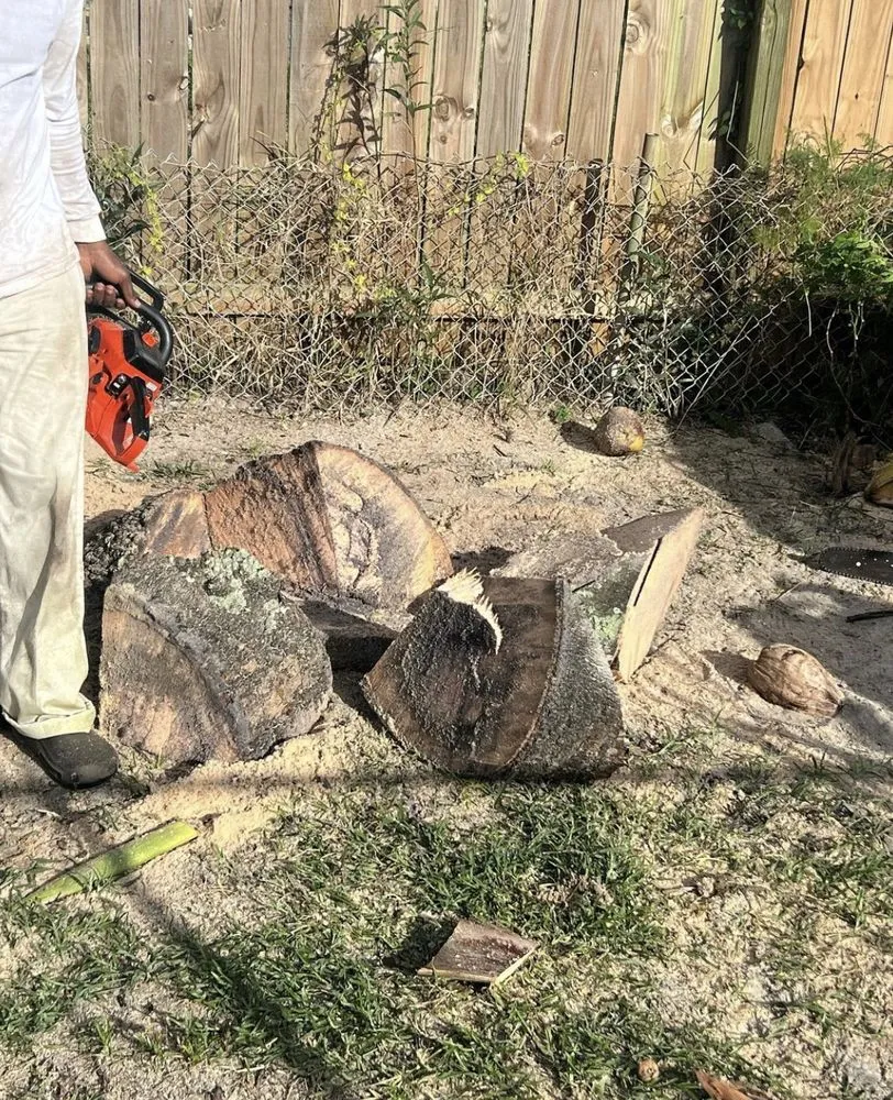 Expert lawn mowing service experts serving Fort Lauderdale, FL - Tri county express lawn care