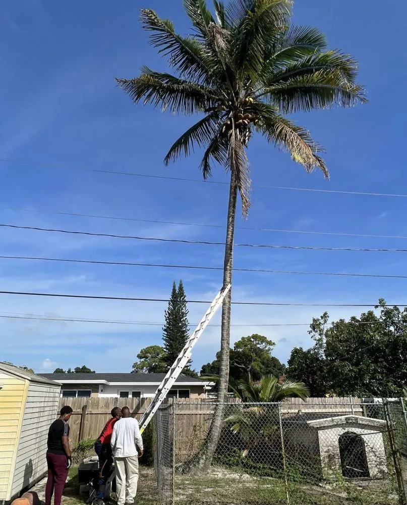 Local lawn mowing service in Fort Lauderdale, FL - Tri county express lawn care