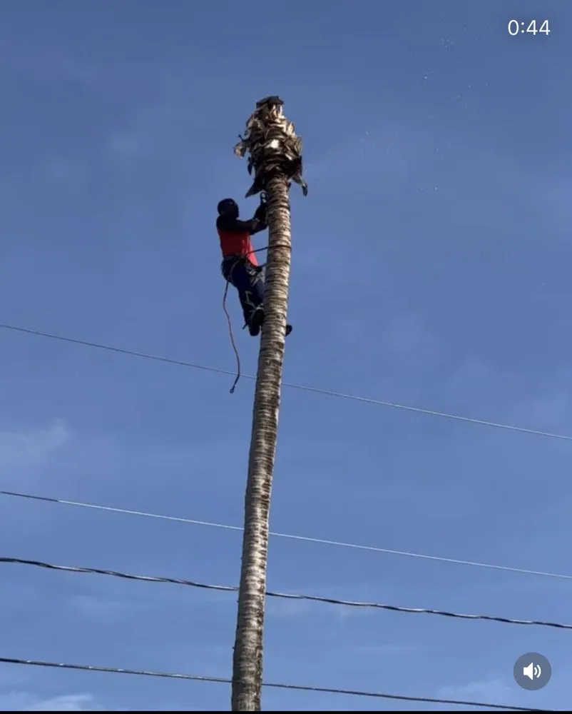 Reliable lawn care service in Fort Lauderdale, FL by Tri county express lawn care