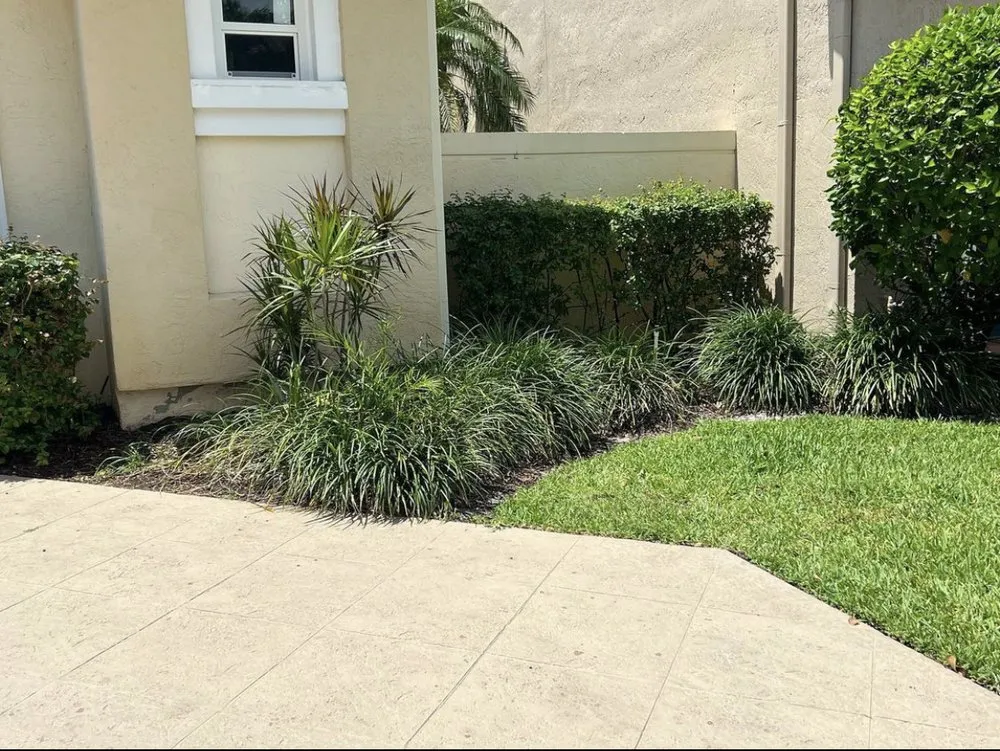 Reliable lawn mowing service for homes across Fort Lauderdale, FL - Tri county express lawn care