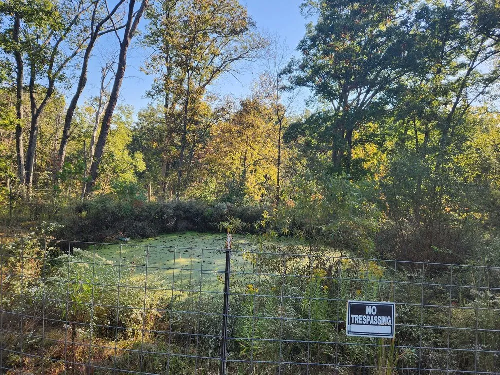 Local yard maintenance experts serving Troy, MO - Tri County Green & Clean