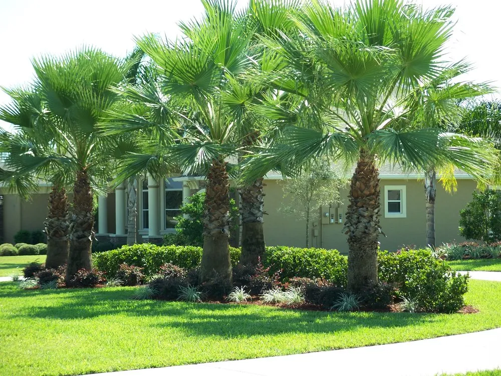 Affordable lawn care service in De Leon Springs, FL by Tri-County Landscape & Nursery