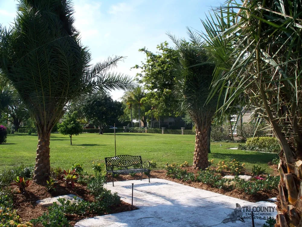 Local yard maintenance experts serving Cape Coral, FL - Tri-County Landscape Services