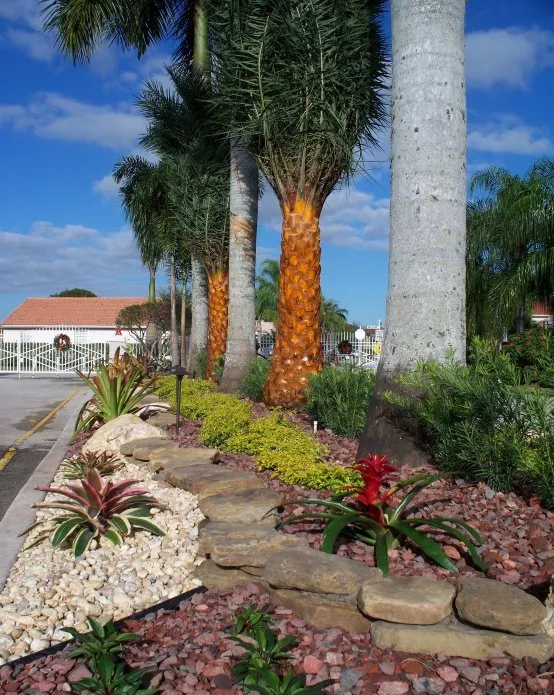 Local outdoor landscaping in Cape Coral, FL by Tri-County Landscape Services