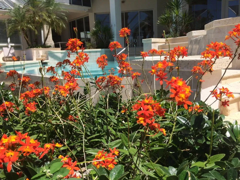 Custom residential landscaping near you across Cape Coral, FL - Tri-County Landscape Services