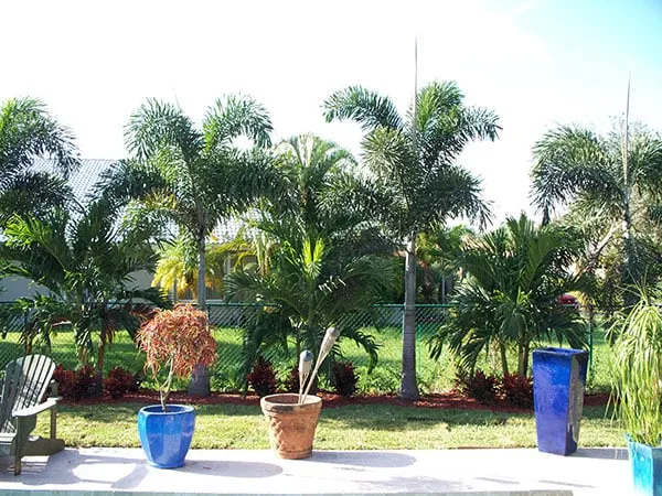 Trusted garden landscaping for homes across Cape Coral, FL - Tri-County Landscape Services