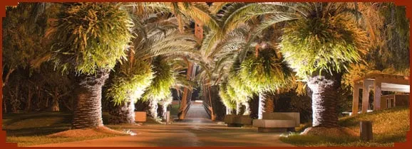 Affordable yard maintenance in Cape Coral, FL by Tri-County Landscape Services