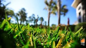 Tri County Landscaping Group