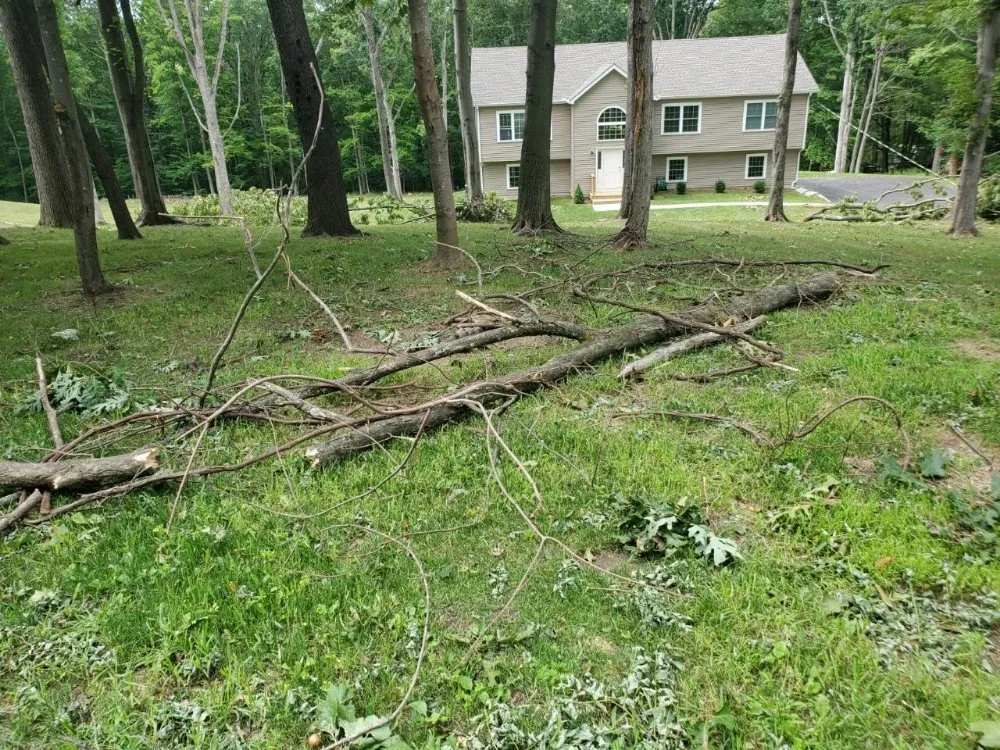 Top-rated residential landscaping for outdoor upgrades in Dover Plains, NY by Tri-County Lawn & Landscape