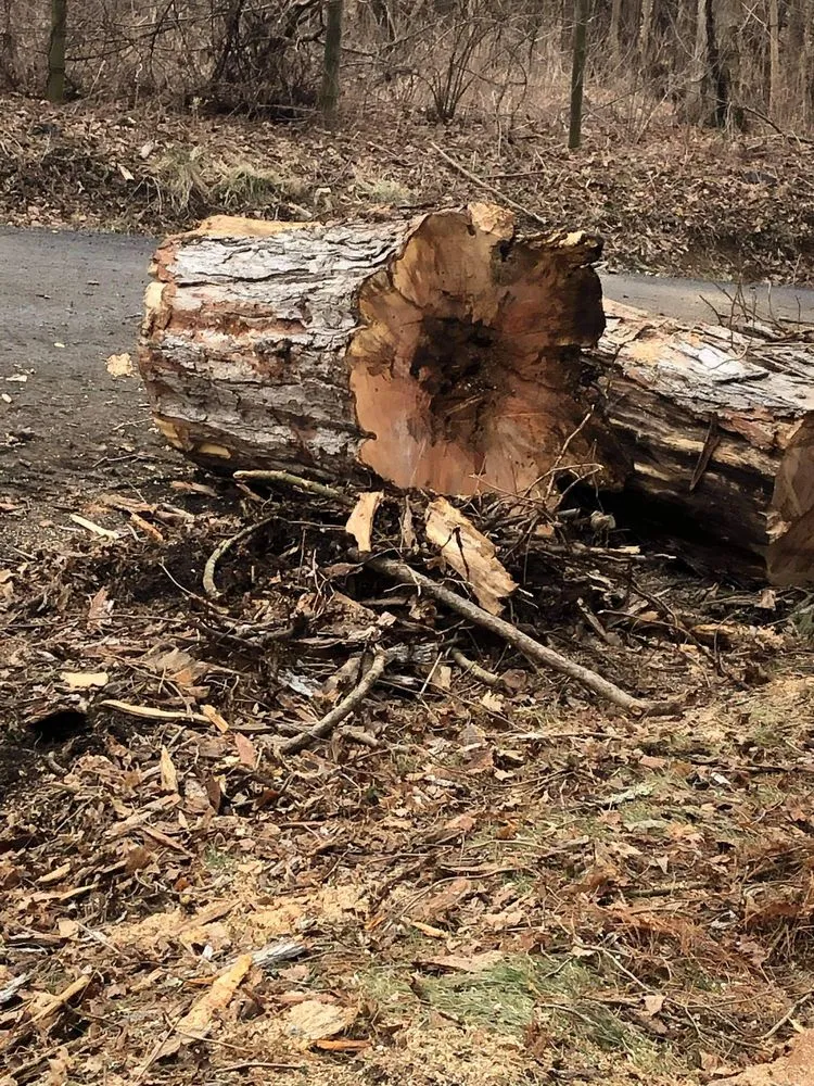 Trusted yard cleanup service in Dover Plains, NY - Tri-County Lawn & Landscape
