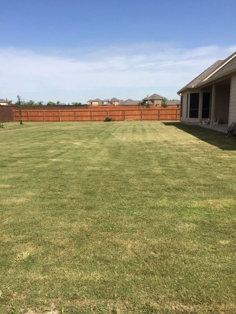 Affordable residential landscaping for outdoor upgrades across Marion, TX - Tri-County Lawn Care