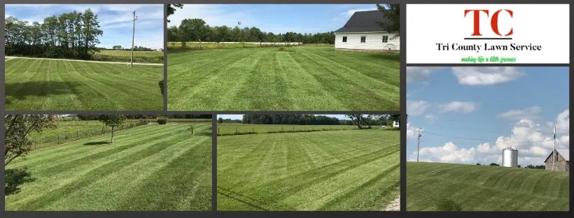 Reliable landscape installation for outdoor upgrades in Winchester, OH by Tri County Lawn Service