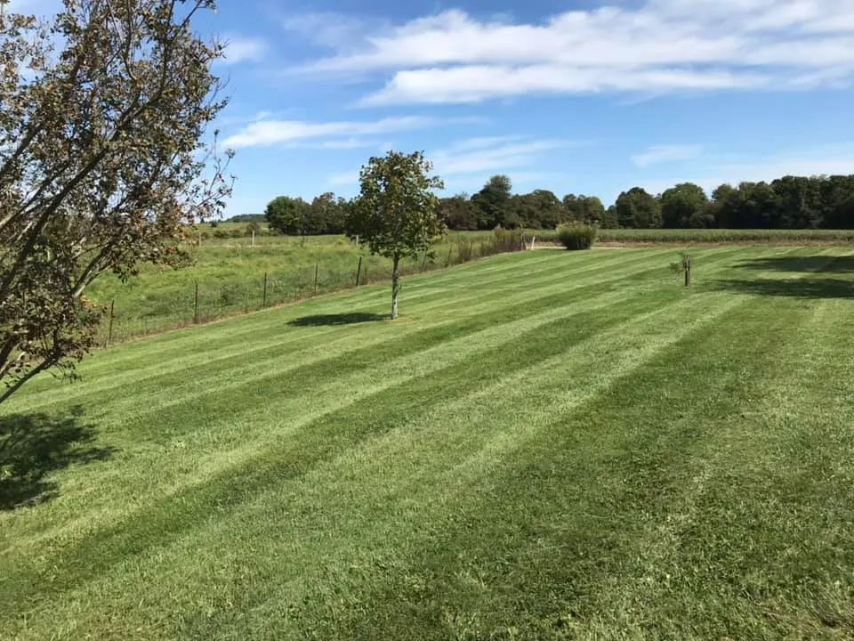Affordable outdoor landscaping in Winchester, OH by Tri County Lawn Service