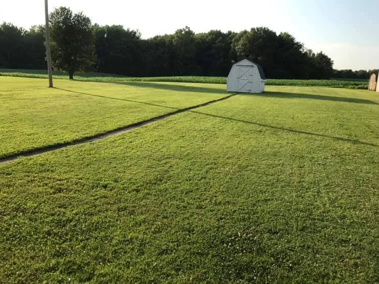 Top-rated lawn care service in Winchester, OH - Tri County Lawn Service