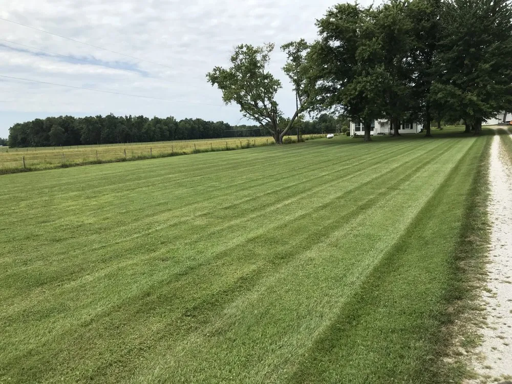 Expert lawn care service experts serving Winchester, OH - Tri County Lawn Service