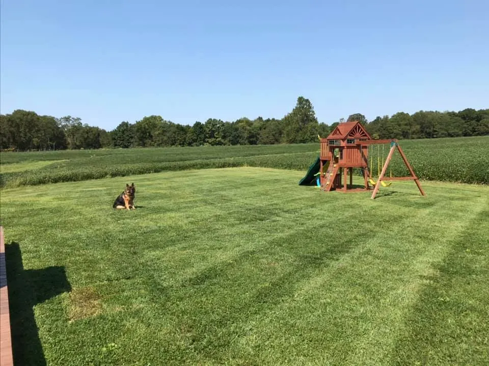 Trusted yard cleanup service in Winchester, OH - Tri County Lawn Service