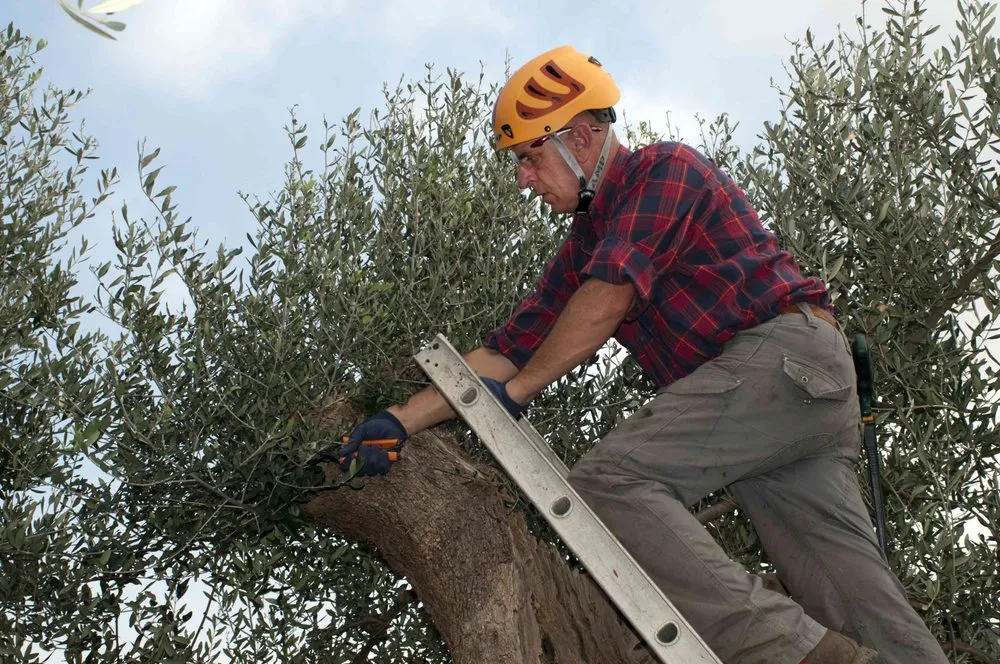 Professional garden landscaping in Brookshire, TX by Tri County Tree And Landscaping Service