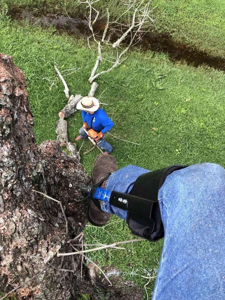 Custom landscaping services in Brookshire, TX - Tri County Tree And Landscaping Service