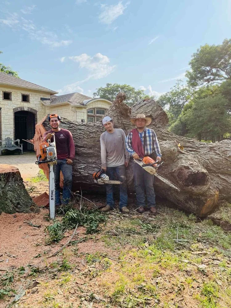 Top-rated yard cleanup service with custom design in Brookshire, TX by Tri County Tree And Landscaping Service