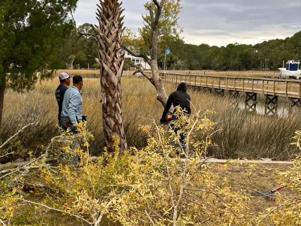 Expert lawn mowing service experts serving Goose Creek, SC - Tri County Tree Care