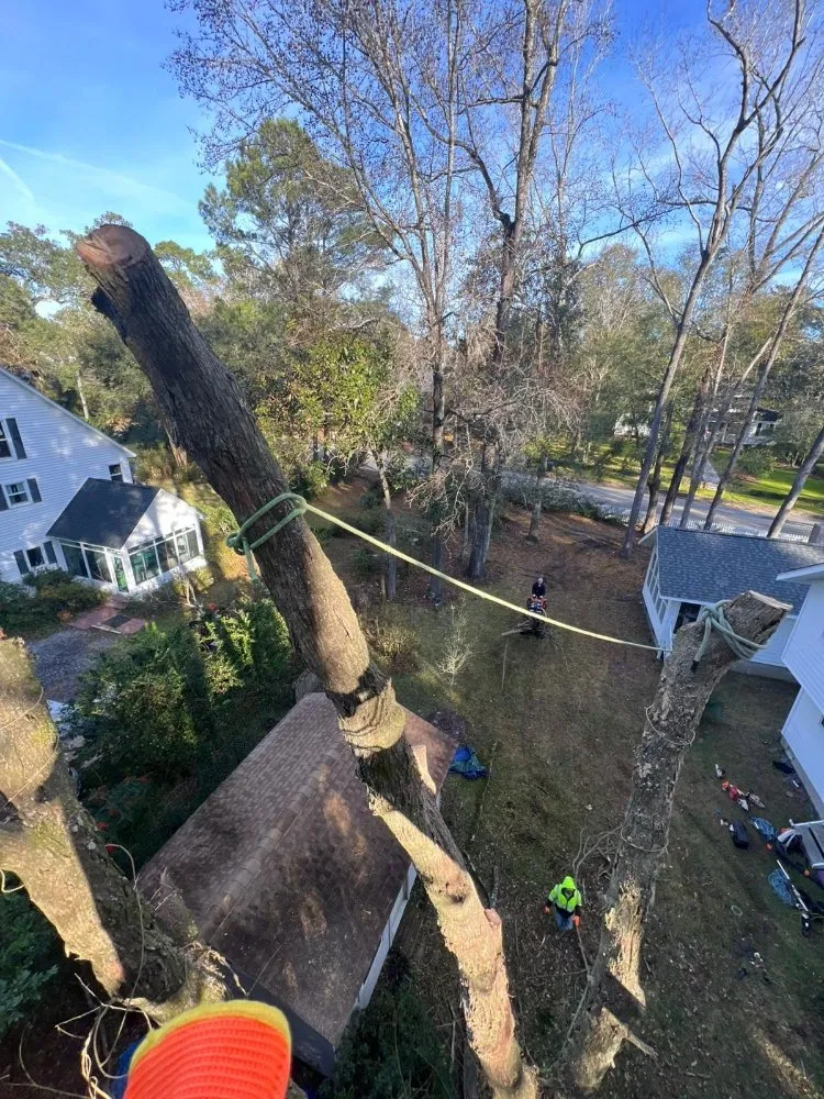 Local lawn mowing service for residential properties across Goose Creek, SC - Tri County Tree Care