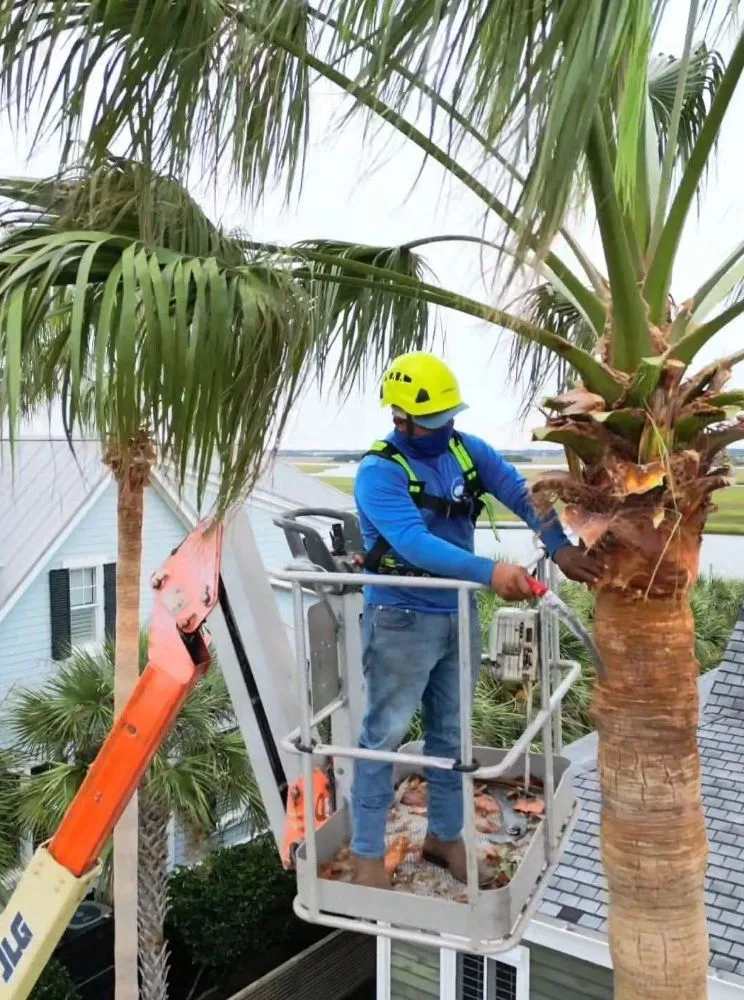 Professional garden landscaping with custom design in Goose Creek, SC by Tri County Tree Care