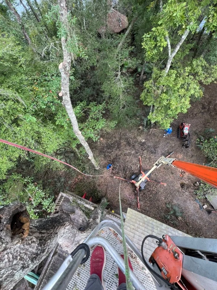 Expert landscape design experts serving Goose Creek, SC - Tri County Tree Care