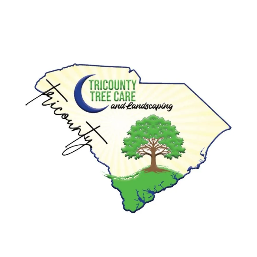 Professional lawn mowing service experts serving Goose Creek, SC - Tri County Tree Care