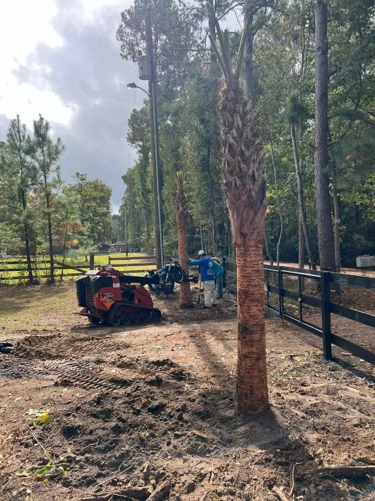 Expert yard maintenance in Goose Creek, SC - Tri County Tree Care