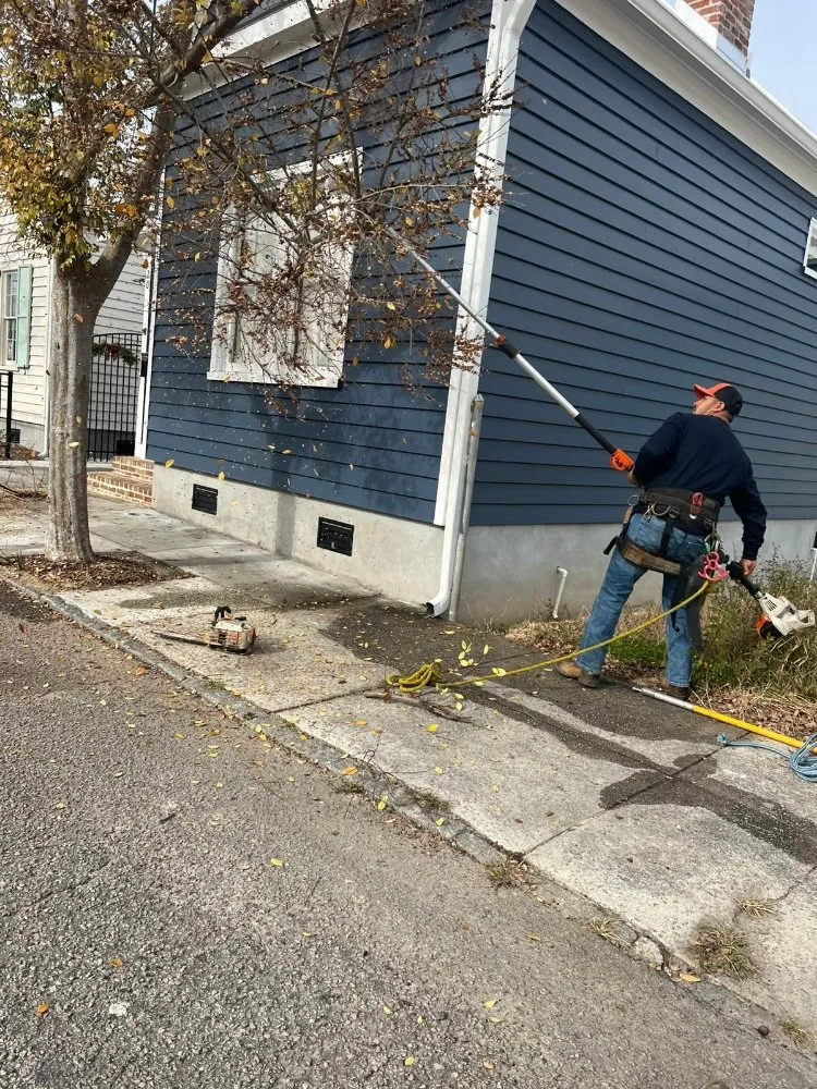 Professional residential landscaping for homes in Goose Creek, SC by Tri County Tree Care