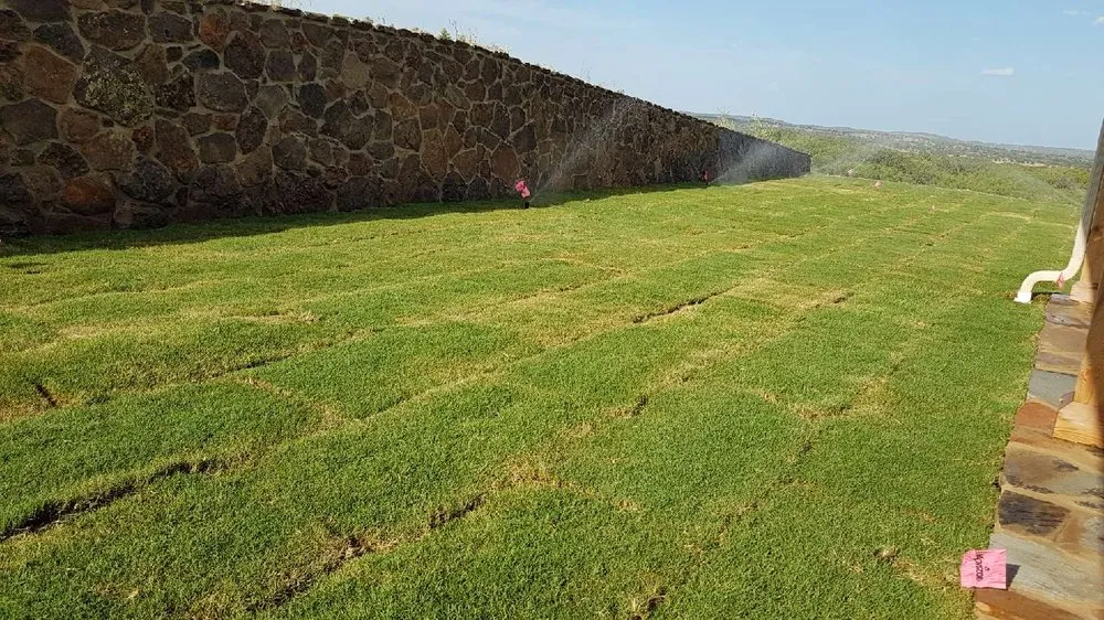 Custom outdoor landscaping in San Antonio, TX - Tri-County Turf & Landscape
