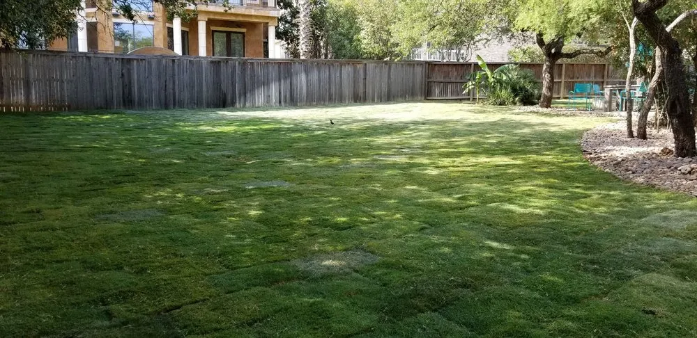 Expert residential landscaping in San Antonio, TX by Tri-County Turf & Landscape