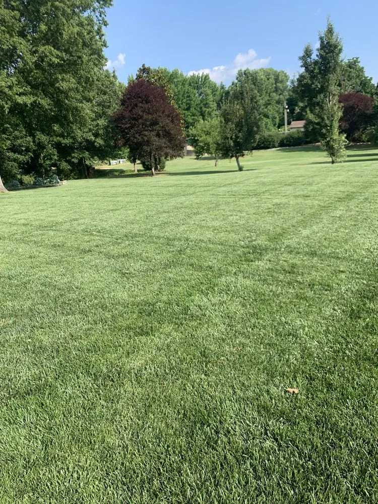 Top-rated residential landscaping in Obion, TN by Tri-County Turf Solutions