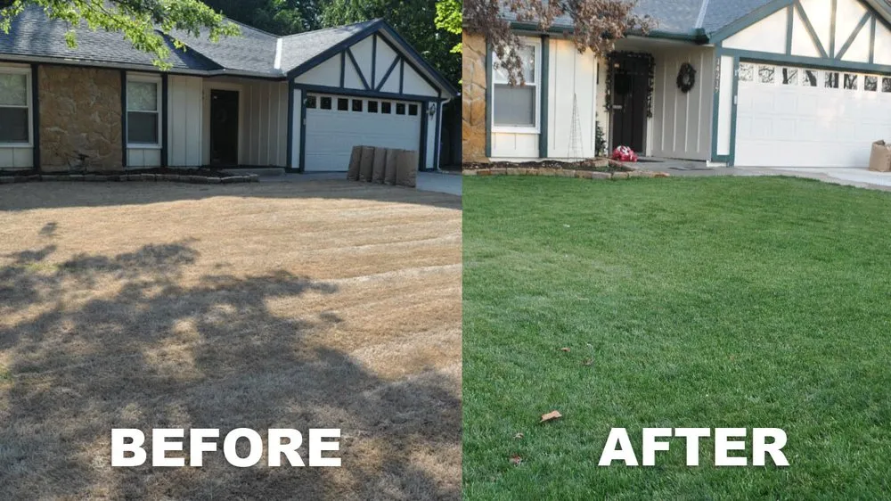Affordable yard cleanup service in Obion, TN - Tri-County Turf Solutions