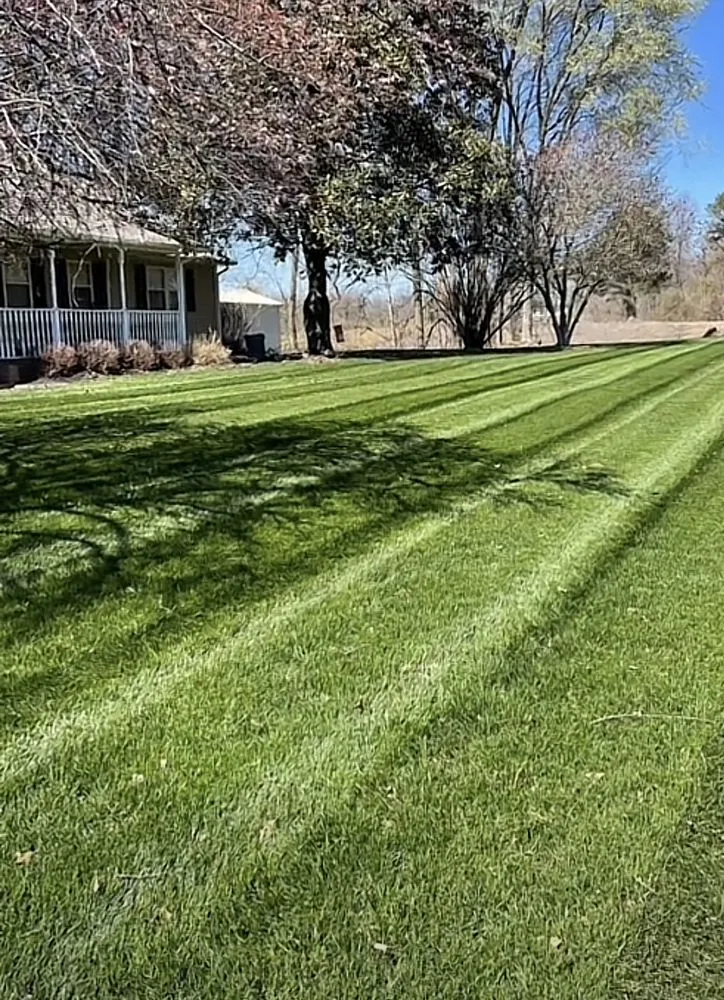 Affordable lawn care service for homes across Obion, TN - Tri-County Turf Solutions