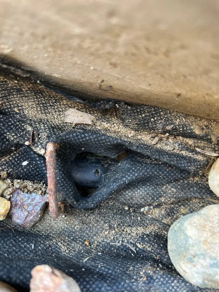 Professional garden landscaping for year-round maintenance across Thousand Oaks, CA - Tri-County Turf