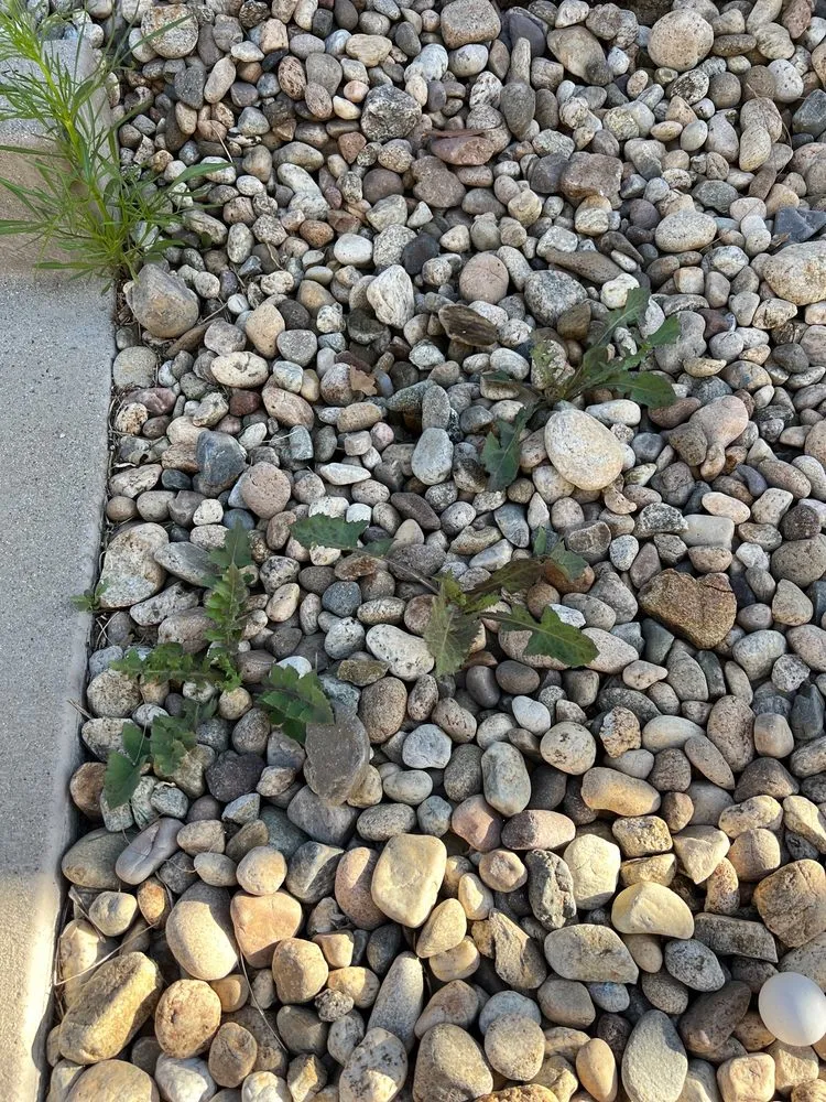 Local lawn care service for residential properties in Thousand Oaks, CA by Tri-County Turf