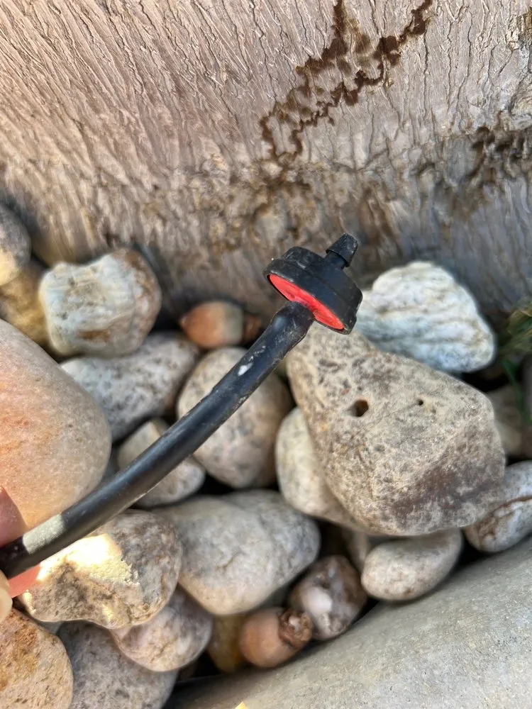 Trusted yard cleanup service in Thousand Oaks, CA by Tri-County Turf